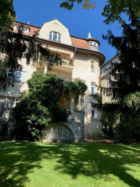 Superb Studio with 40 sqm Terrace in Buda City Centre
